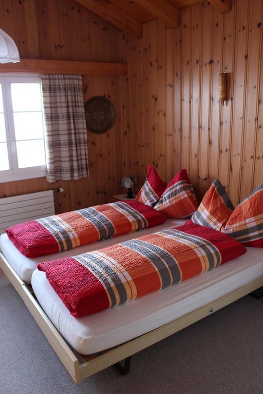 Spinne Appartement