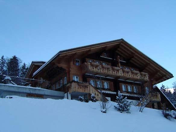 Appartement Spinne